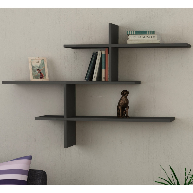 Raft Showdeko LEO (Anthracite)