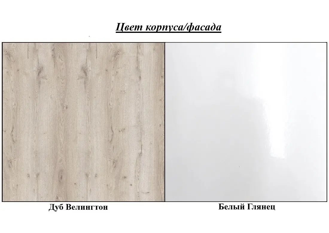 Прихожая ASM Gustavo II DWW GV2 (Wellington Oak/White Gloss)