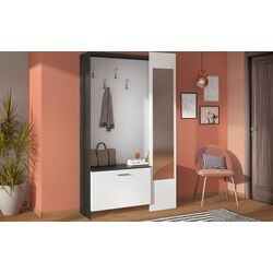 Прихожая Ideal Mobila Thomas (Wenge/White) Thumb