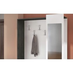 Прихожая Ideal Mobila Thomas (Wenge/White) Thumb