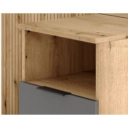 Antreu Signal P-013 (Evoke Oak/Graphite) Thumb