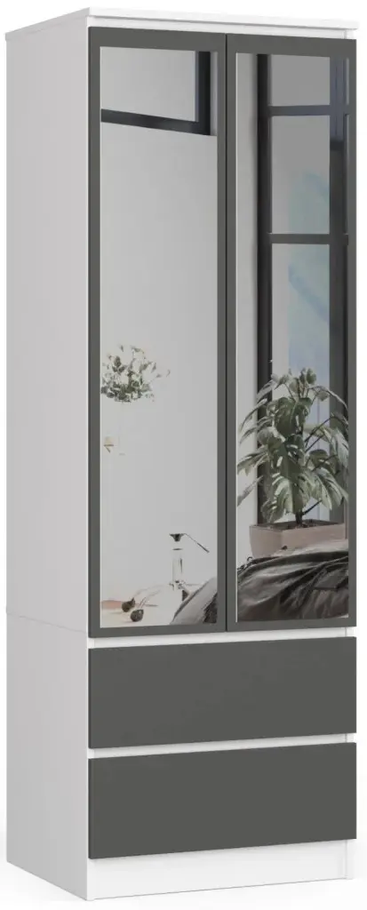 Шкаф Akord Star S60 2D 2SZ + Lustro (White/Grey)