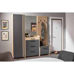 Шкаф Ambianta Solaris 0.6 (Кремона/Графит) Thumb