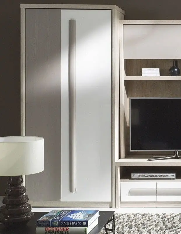 Dulap Fadome Rom1 (Ash/White Gloss/Gray Matt)