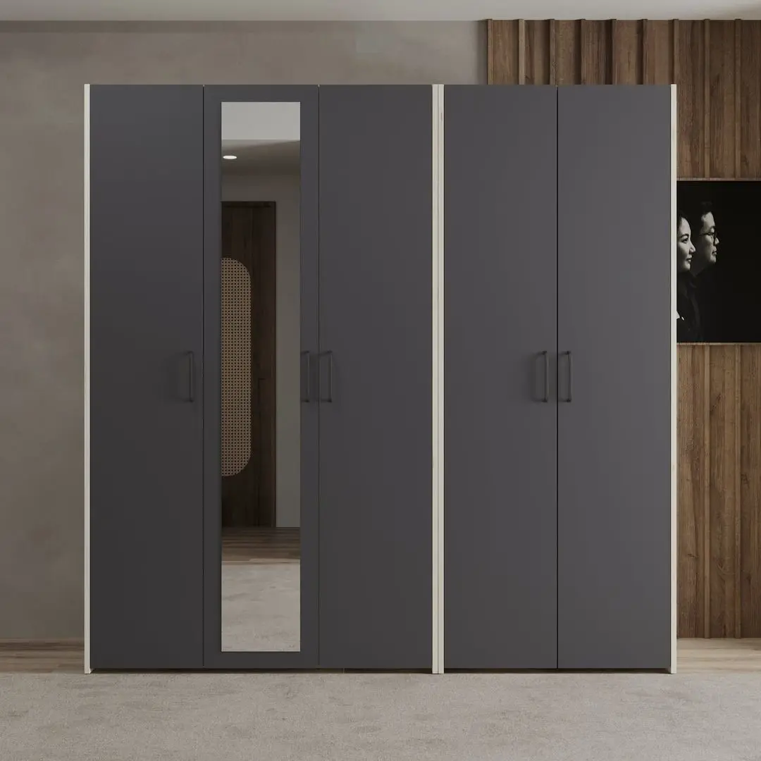 Dulap Haaus Malmo V2 cu oglinda 200 cm (Anthracite/White Oak)