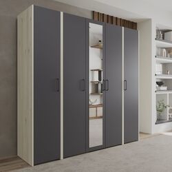 Шкаф Haaus Malmo V5 с зеркалом 200 cm (Anthracite/White Oak)