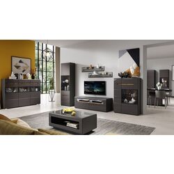 Шкаф Helvetia Hektor Nr.18 2D (Anthracite/Anthracite Gloss) Thumb