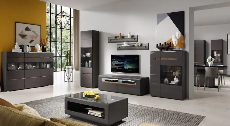 Шкаф Helvetia Hektor Nr.18 2D (Anthracite/Anthracite Gloss) - 2