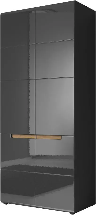 Шкаф Helvetia Hektor Nr.18 2D (Anthracite/Anthracite Gloss)