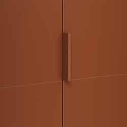 Шкаф Helvetia Montana 24ETOL18 (Elegant oak/Terracotta) Thumb
