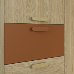 Dulap Helvetia Scandi 24D5OH19 (Oiled Oak/Brick) Thumb