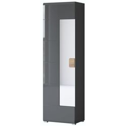 Шкаф с зеркалом Helvetia Toledo 1D 204 cm (Anthracite Gloss/Grandson Oak) Thumb