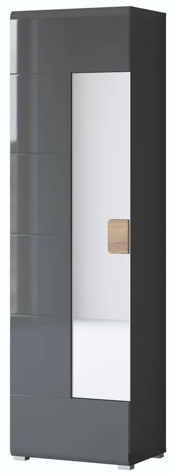 Шкаф с зеркалом Helvetia Toledo 1D 204 cm (Anthracite Gloss/Grandson Oak) - 3