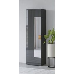 Шкаф с зеркалом Helvetia Toledo 1D 204 cm (Anthracite Gloss/Grandson Oak)