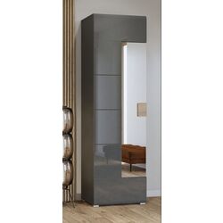 Шкаф с зеркалом Helvetia Toledo 1D 204 cm (Anthracite Gloss/Grandson Oak) Thumb