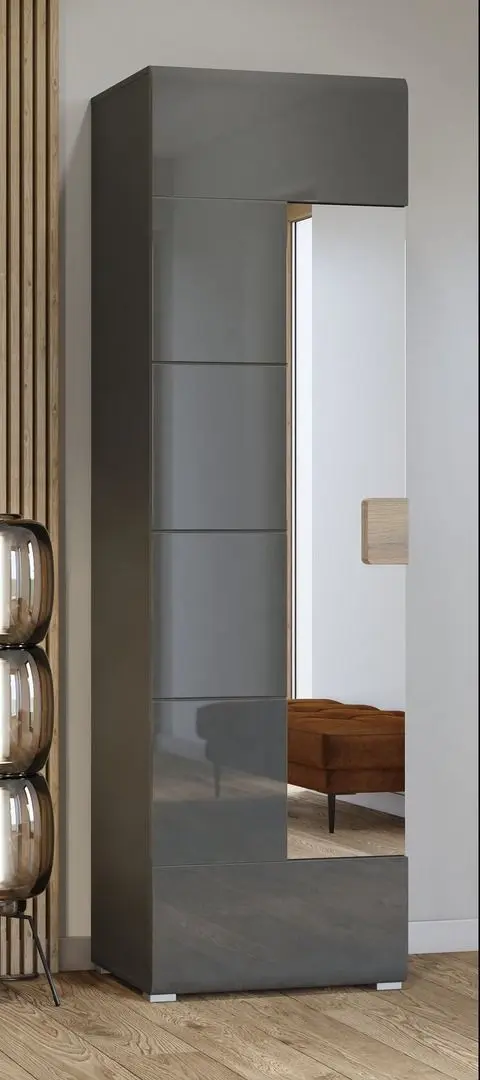 Шкаф с зеркалом Helvetia Toledo 1D 204 cm (Anthracite Gloss/Grandson Oak) - 4
