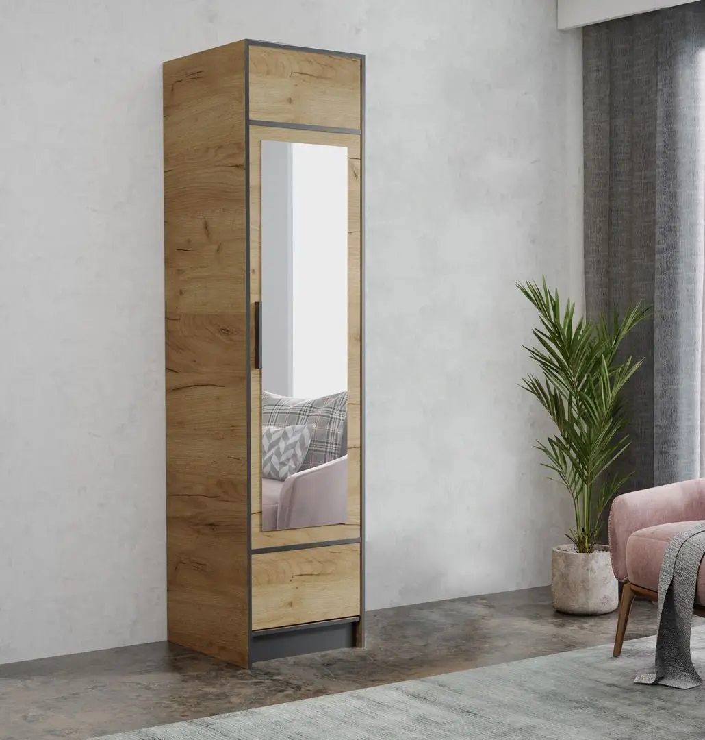 Шкаф Prime Furniture Roj 1D 53 (Craft Oak Golden/Black)