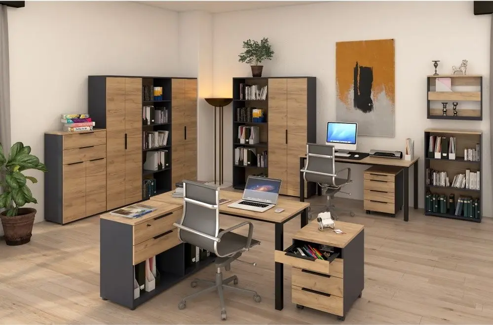 Шкаф Tempo Kondela Klaudius Tip 2 (Graphite/Artisan Oak)