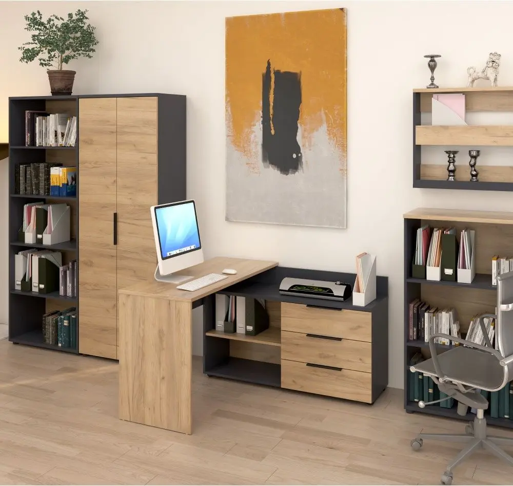 Шкаф Tempo Kondela Klaudius Tip 2 (Graphite/Artisan Oak)