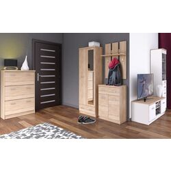 Шкаф Tempo Kondela Topty Typ 38 2D1S (Sonoma Oak) Thumb