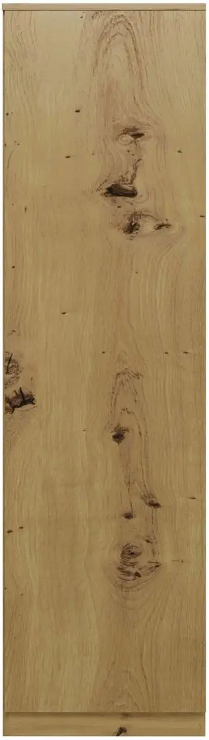 Penal TopEshop Malwa SD-50 (Artisan Oak)