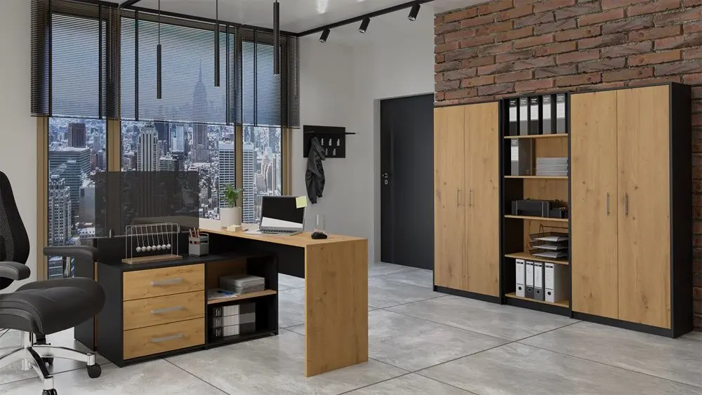 Шкаф TopEshop Oliv 2D (Anthracite/Artisan Oak)