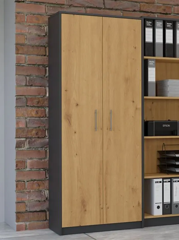 Шкаф TopEshop Oliv 2D (Anthracite/Artisan Oak)