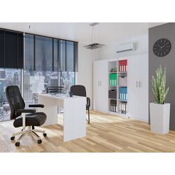 Шкаф TopEshop Oliv 2D (White Matt) Thumb