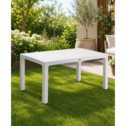 Masa Mobiland Rattan 150x90 (White)
