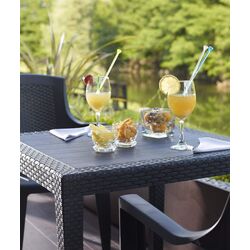 Masa ProGarden 50732 (Grey) Thumb