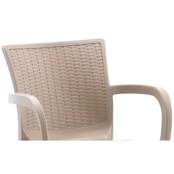 Садовый стул Chomik CT014/C (Capuccino) Thumb