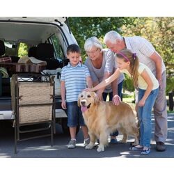 Set scaune de gradina Costway OP70338 (Brown) Thumb