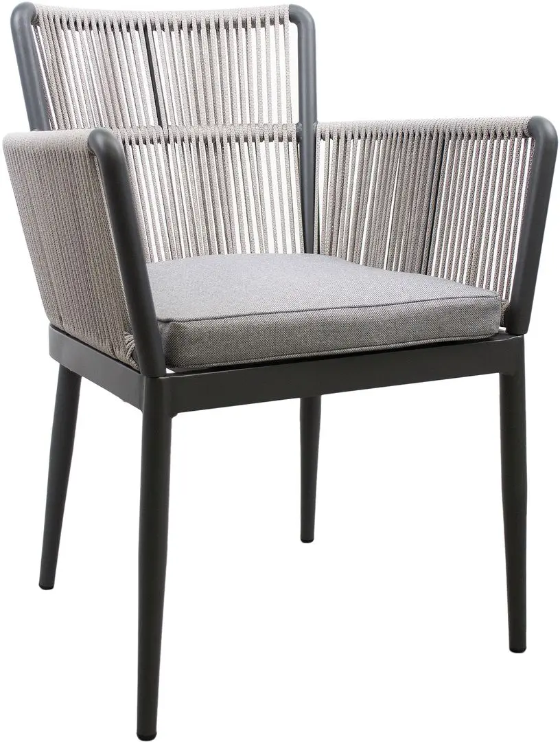 Scaun DP Harly Garden (Grey/Black)