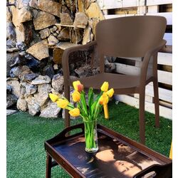 Садовый стул Sanja Blues 7071M (Brown) Thumb