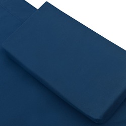 Sezlong cu copertina VidaXL 313535 (Blue) Thumb