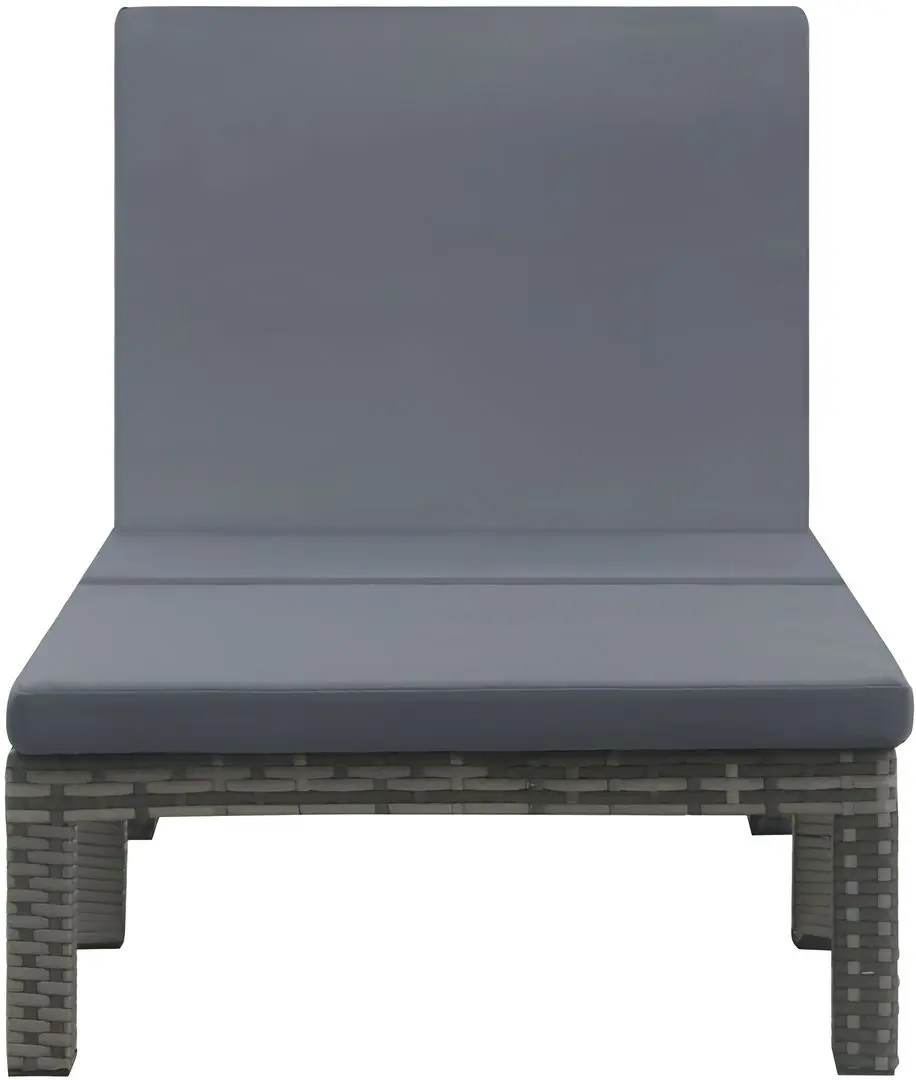 Șezlong VidaXL 47752 (Anthracite)