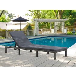 Șezlong VidaXL 47752 (Anthracite)