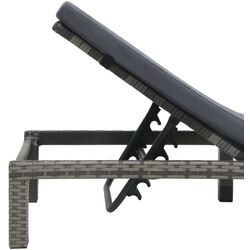 Șezlong VidaXL 47752 (Anthracite) Thumb