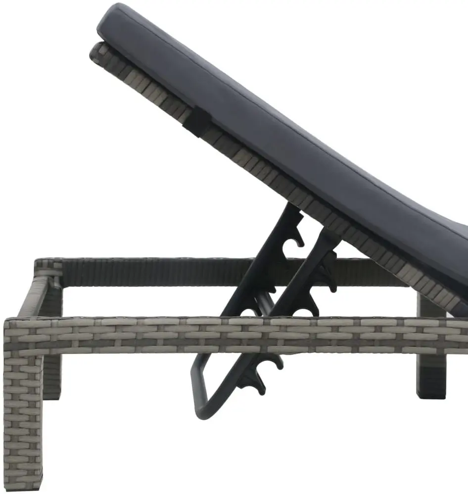 Șezlong VidaXL 47752 (Anthracite)