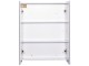 Dulap cu oglinda Homcom 811-032 60x75x15 cm (White)