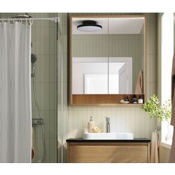 Dulap cu oglinda Ikea Faxalven iluminat integrat 80x15x95 (Aspect Stejar)