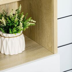 Шкаф Kleankin 834-529V01WT (White/Natural Wood) Thumb