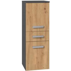 Шкаф TopEshop Nel V DDS (Anthracite/Artisan Oak) Thumb