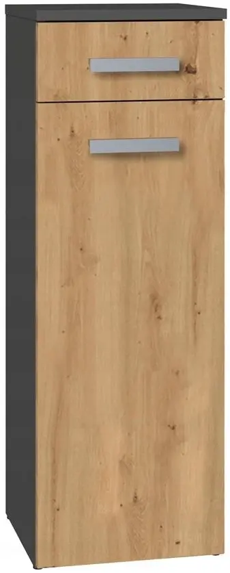 Шкаф TopEshop Nel V DS (Anthracite/Artisan Oak)