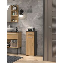 Шкаф TopEshop Nel V DS (Anthracite/Artisan Oak)