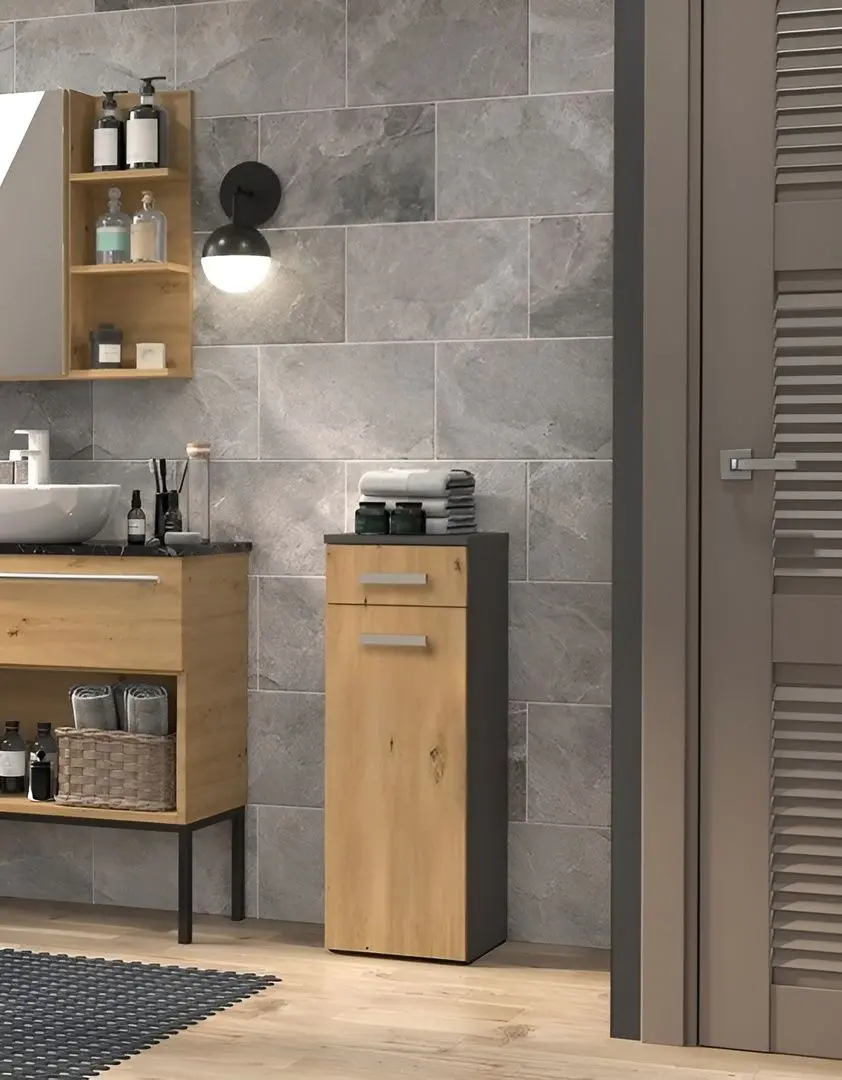 Шкаф TopEshop Nel V DS (Anthracite/Artisan Oak)