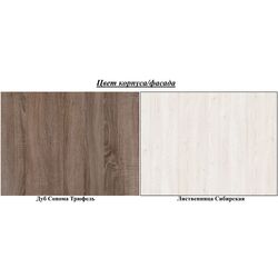 Книжный шкаф Helvetia Nela Nr.05 2D (Siberian Larch/Sonoma Oak Truffle) Thumb