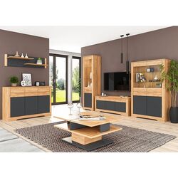 Шкаф Mobhaus Fidel I (Craft Oak Golden/Graphite Gray) Thumb