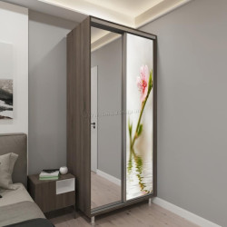 Шкаф-купе Bafimob Д-120 Фотопечать 1