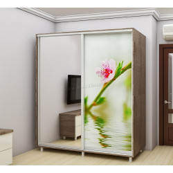 Dulap-cupe Bafimob D-200 Imprimare foto 1